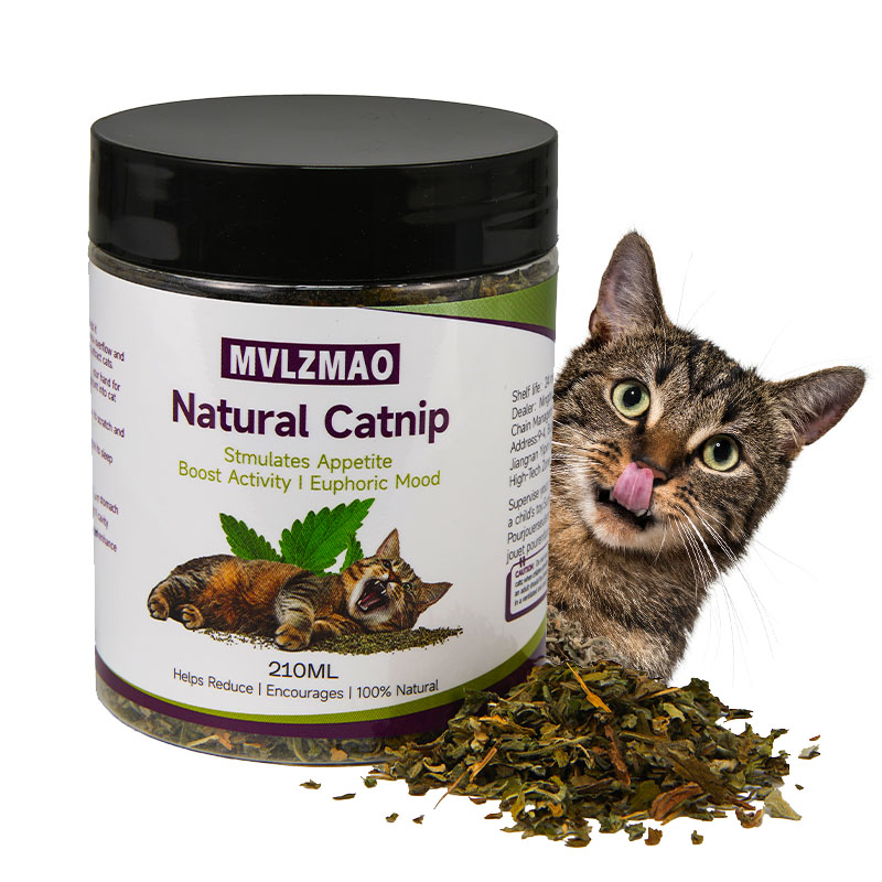 Herbal Wellness Supplement - Mainan kucing-silvervine Catnip untuk kucing, 100%