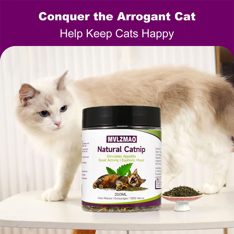 Mainan kucing-silvervine Catni - Herbal Wellness Supplement ulasan dan harga