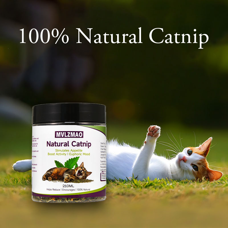 Mainan kucing-silvervine Catni - Herbal Wellness Supplement ulasan dan harga