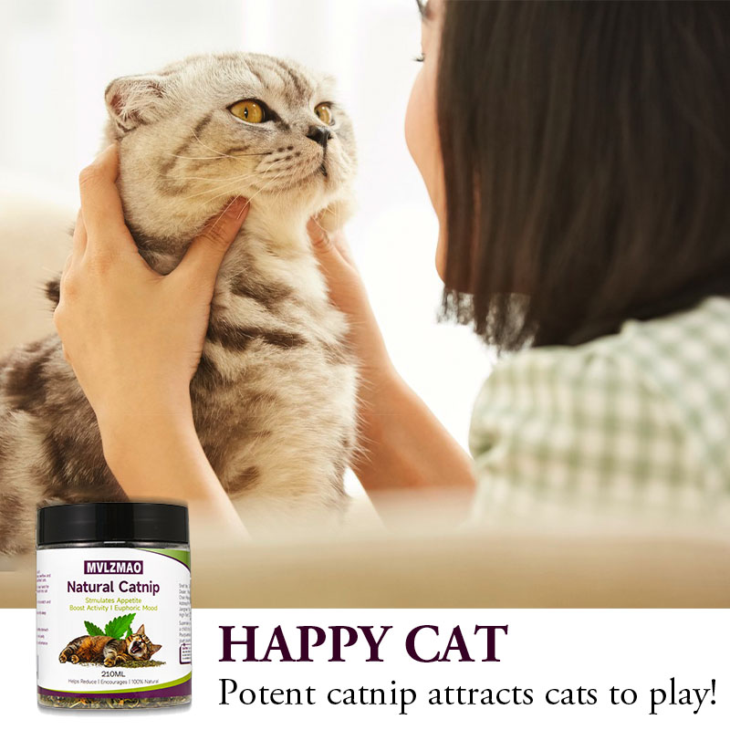 Mainan kucing-silvervine Catni - Herbal Wellness Supplement ulasan dan harga
